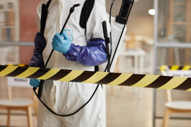 Professional Hoarding Cleanup technician working in Hill, NH